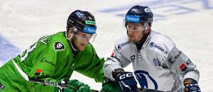 V 51. kole Tipsport extraligy se utkají Mladá Boleslav a Plzeň