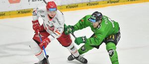 Hradec zakončí základní část extraligy proti Boleslavi, hraje se od 17:30