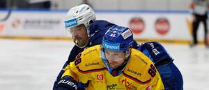 Série předkola mezi Kometou a Motorem je vyrovnaná, třetí duel se hraje dnes od 18:00