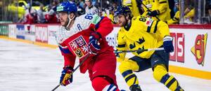 Hokejoví útočníci David Pastrňák a William Nylander by měli patřit k hvězdám Světového poháru 2028