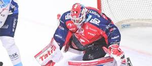 Pardubice vs. Kometa Brno: sledujte první zápas čtvrtfinále play-off živě