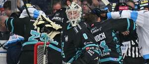 Energie přivítá na svém ledě Bílé Tygry, Třinec pak Hradec Králové. Kdo získá třetí bod?