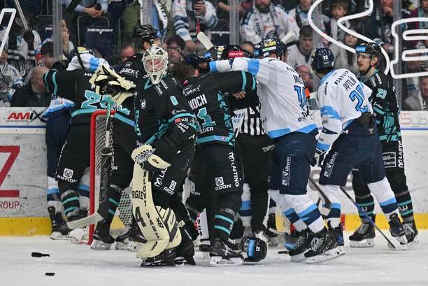 Energie přivítá na svém ledě Bílé Tygry, Třinec pak Hradec Králové. Kdo získá třetí bod?