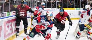 Pardubický útočník Lukáš Sedlák na puku v duelu 39. kola TELH 2025/26 proti Spartě