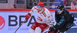 V semifinále extraligy se utkají hokejisté Třince a Karlových Varů