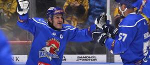 Lukáš Pech se raduje z táborského gólu