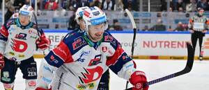 Roman Červenka dnes zaznamenal svůj 100. bod v play off české hokejové extraligy. Zde útočník Dynama slaví gól ve čtvrtfinále proti Kometě.