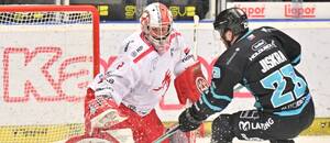 Oceláři Třinec a Energie Karlovy Vary dnes hrají 5. semifinále play off Tipsport extraligy ledního hokeje 2026. Na fotce Marek Mazanec a Vít Jiskra v minulém utkání.