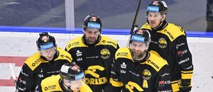 Hráči Litvínova obhahují v baráži extraligovou příslušnost