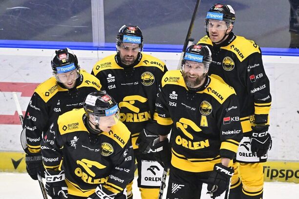 Hráči Litvínova obhahují v&nbsp;baráži extraligovou příslušnost