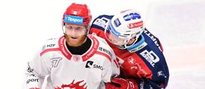 Pardubice dnes mohou získat extraligový titul na úkor Třince