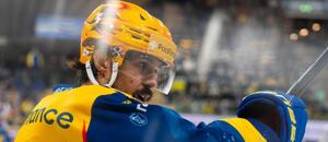 Na snímku jeden z klíčových hráčů Davosu Matěj Stránský