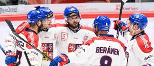 Michael Špaček slaví gól proti Rakousku