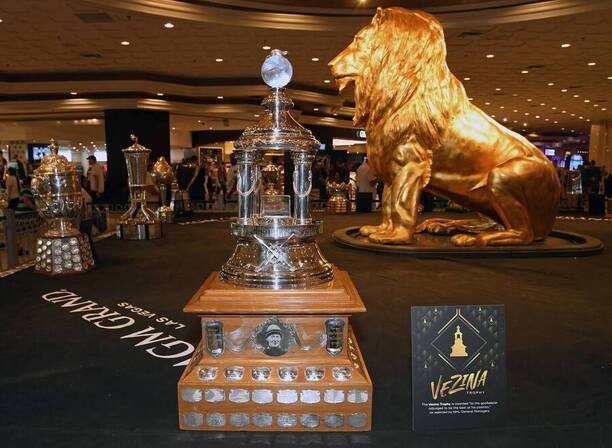Vezina Trophy pro nejlepšího brankáře NHL