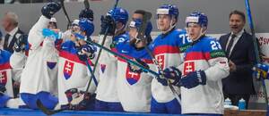Slovenská lavička se raduje, fotka z derby proti Česku