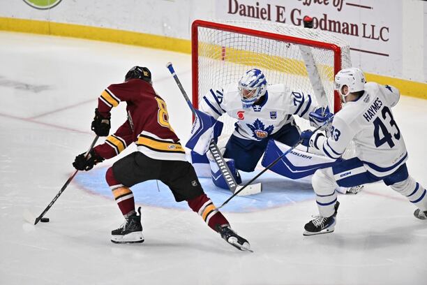 Forvard týmu Chicago Wolves Bradly Nadeau zakončuje