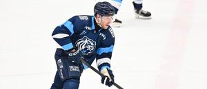 Jakub Rychlovský v zápase Bílých Tygrů Liberec v přípravě na Tipsport extraligu ledního hokeje 2026/2027