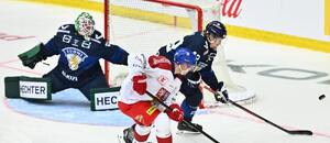 Roman Červenka v zápase Euro Hockey Tour proti Finsku