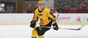 Vsetínský forvard Adam Hořanský v zápase proti pražské Slavii