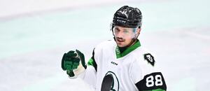 Matěj Gardoň byl jediným střelcem Boleslavi v zápase s Litvínovem