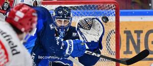 Brankář Komety Brno Aleš Stezka v extraligovém zápase proti Hradci Králové