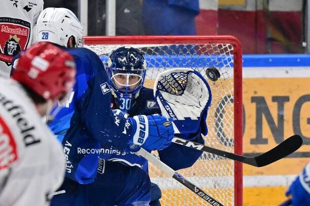 Brankář Komety Brno Aleš Stezka v&nbsp;extraligovém zápase proti Hradci Králové