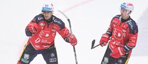 Hokejisté Pardubic Lukáš Sedlák (vlevo) a Roman Červenka se radují z gólu v utkání 6. kola proti Českým Budějovicím
