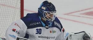 Kometa přivítá na svém ledě Plzeň