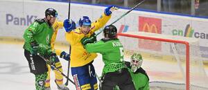 Ve 14. kole Tipsport extraligy proti sobě nastoupí Mladá Boleslav a České Budějovice