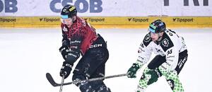 V 16. kole Tipsport extraligy se utkají Mladá Boleslav a Sparta