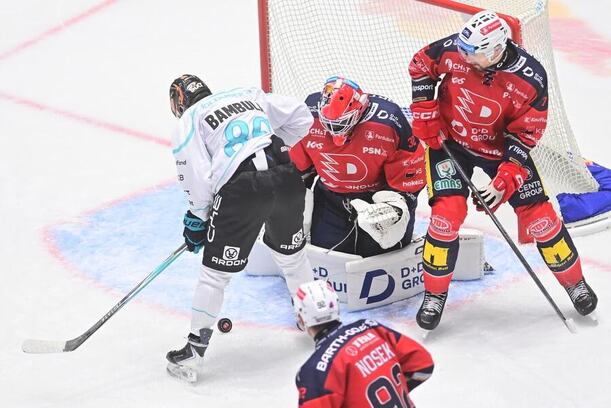 Utkání hokejové extraligy: HC Dynamo Pardubice - BYD Energie Karlovy